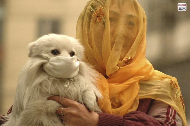 Китайский купальник фэйскини