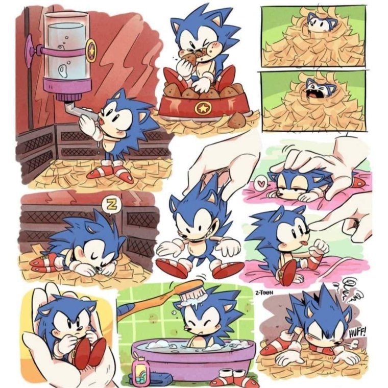 Соник и том Вачовски комикс