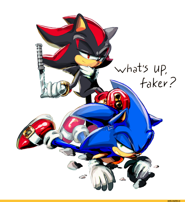 Шедоу держит Соника