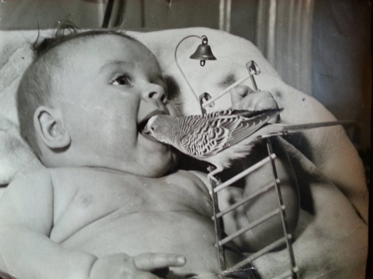 Стоматолог юмор