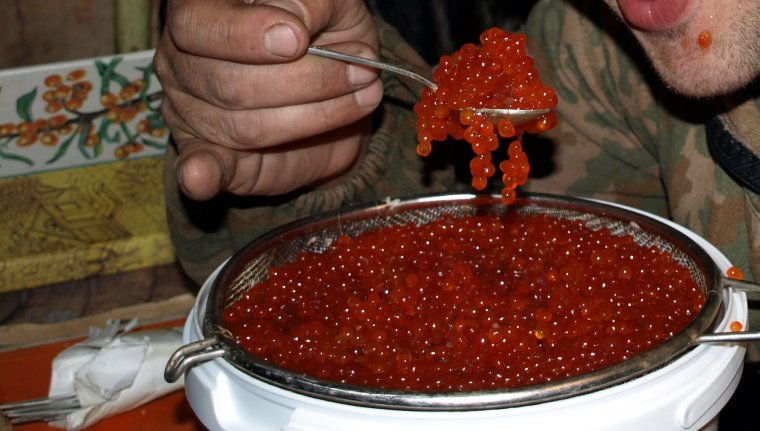 Ведро красной икры