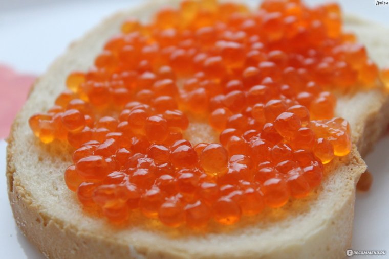 Бутерброды с икрой