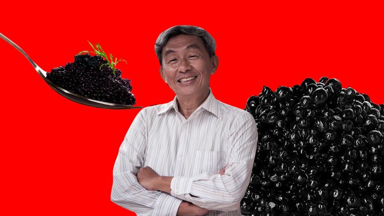 Ведро красной икры