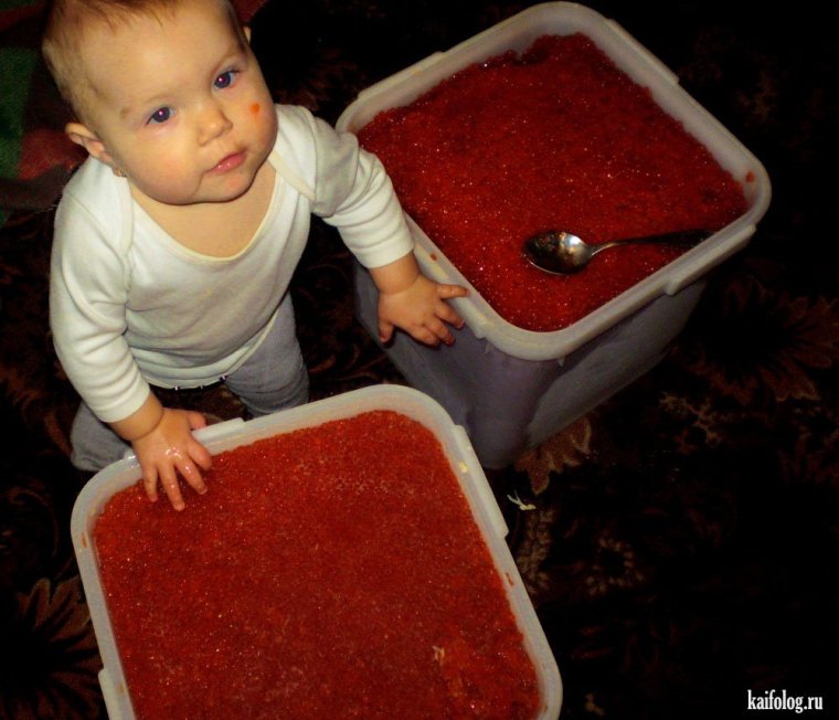 Черная икра и водка