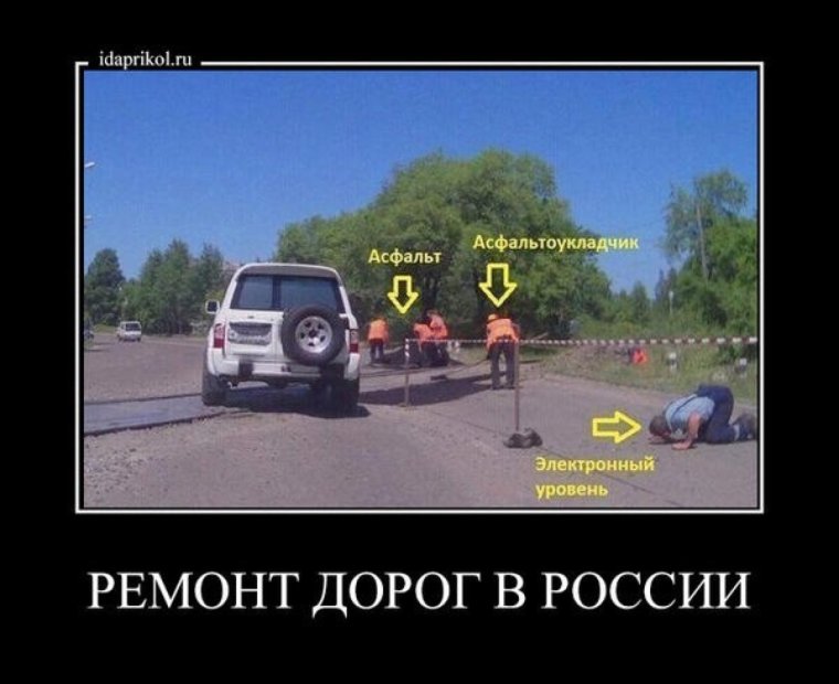 За секунду до животные