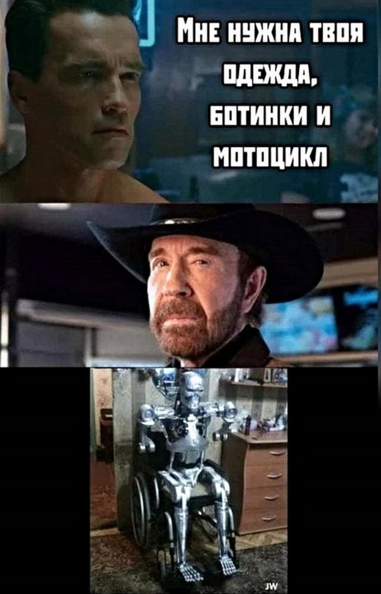 Чак Норрис и Терминатор