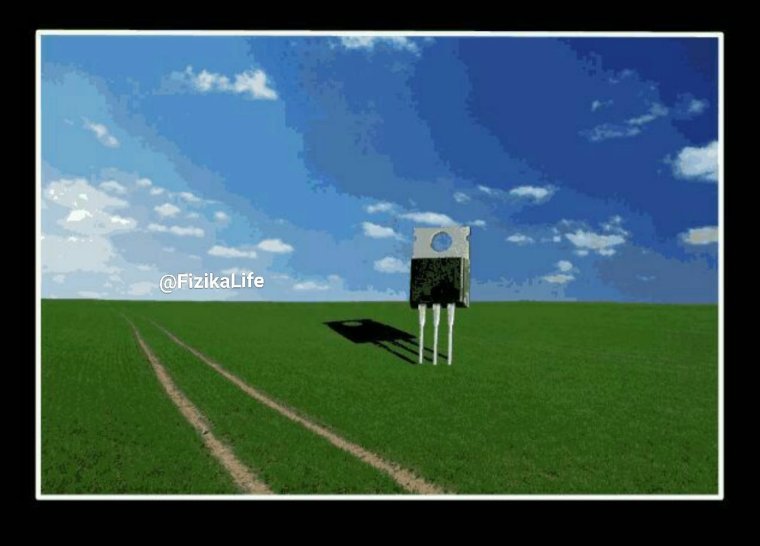 Прикольные картинки приколы