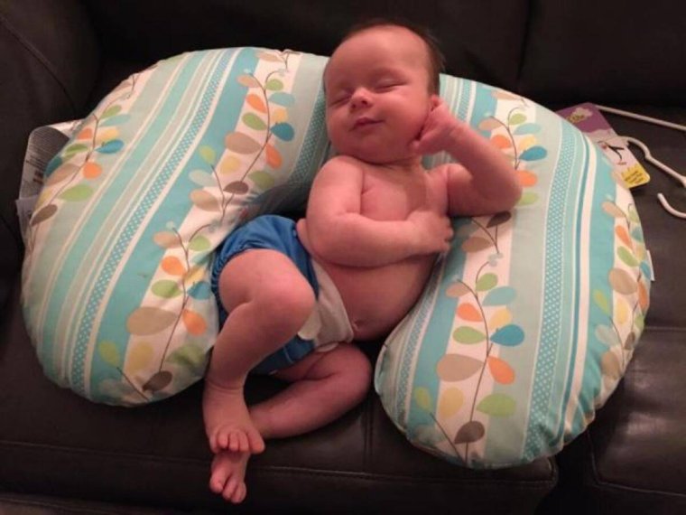 Новорожденные животные