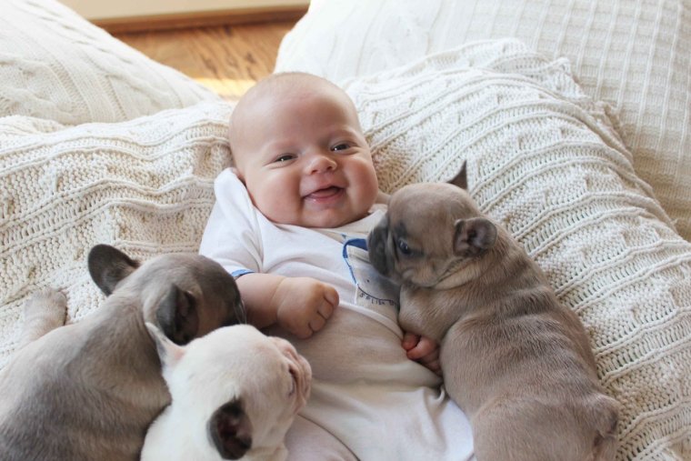 Пустышка с зубами