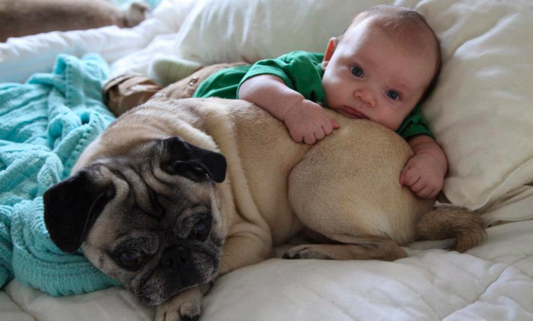 Смешные Новорожденные