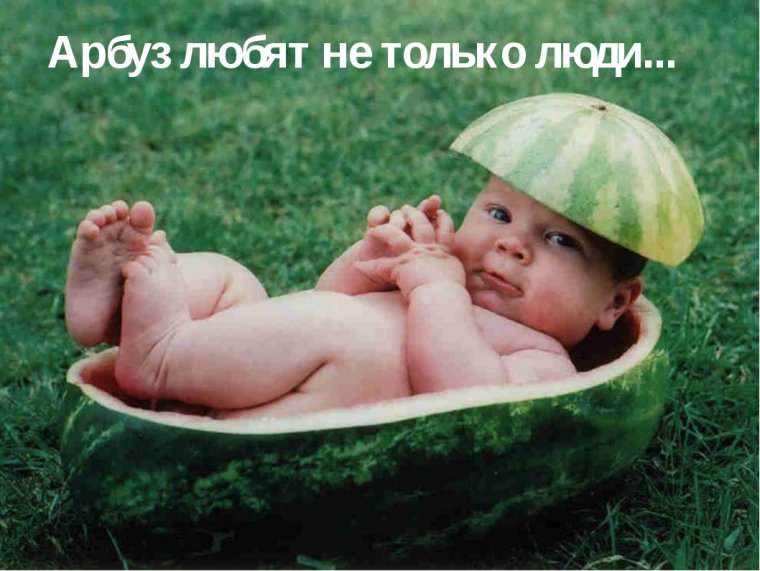 Взгляд грудного ребенка