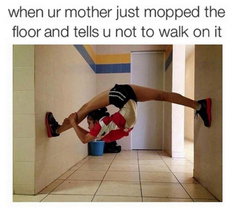 Гибкость Мем