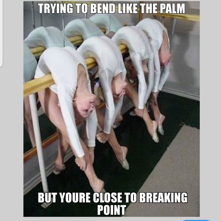 Смешная балерина