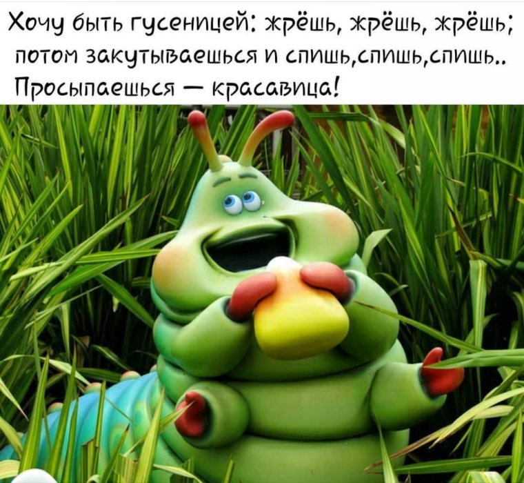 Приключения Флика гусеница