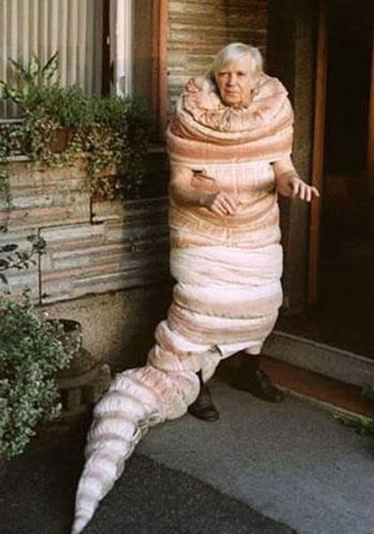 Papilio Troilus гусеница