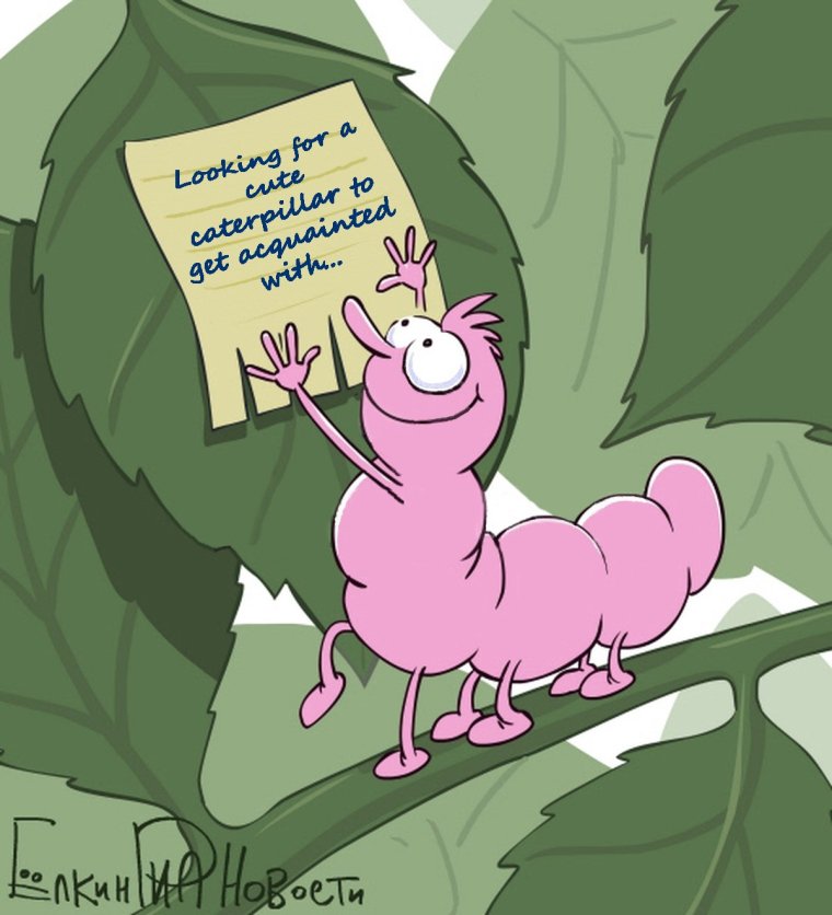 Гусеница бабочки слизневидки