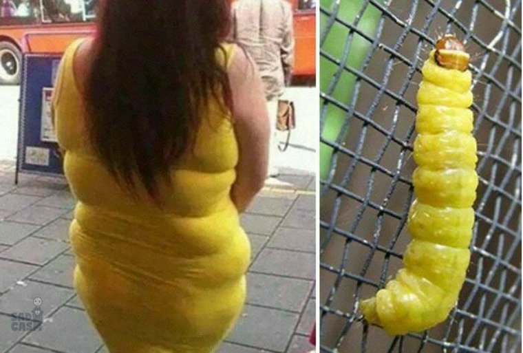 Женщина гусеница в желтом платье