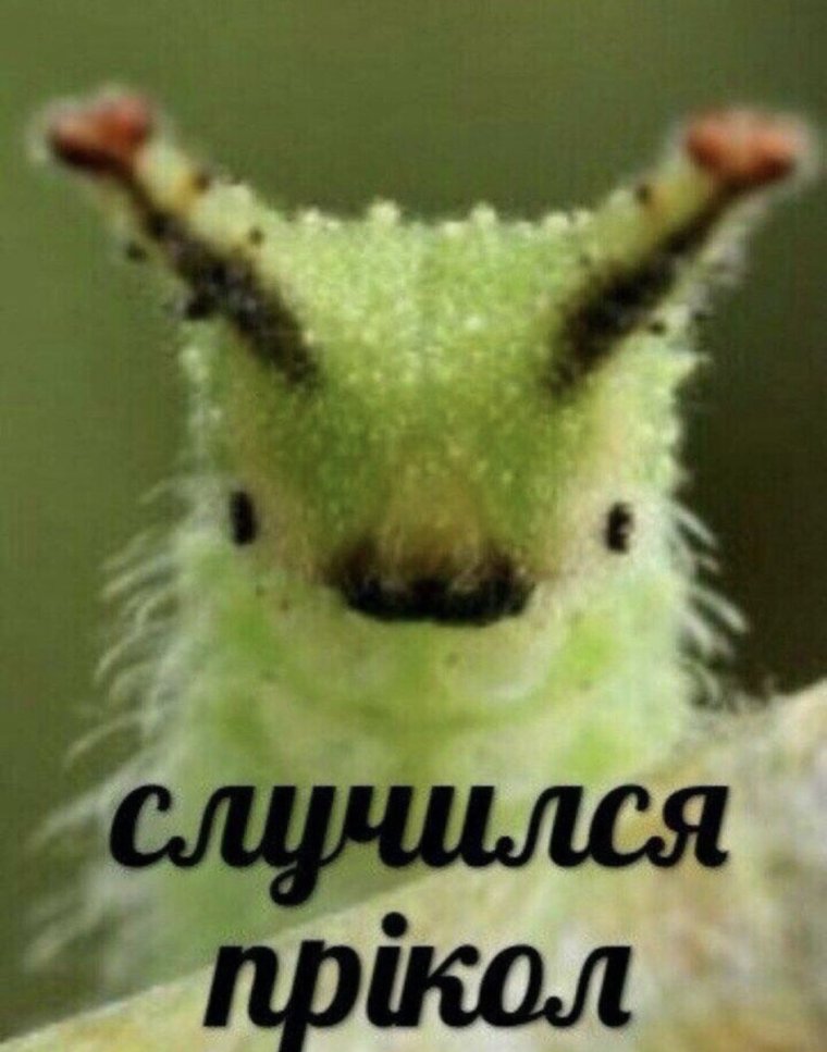 Радужная гусеница