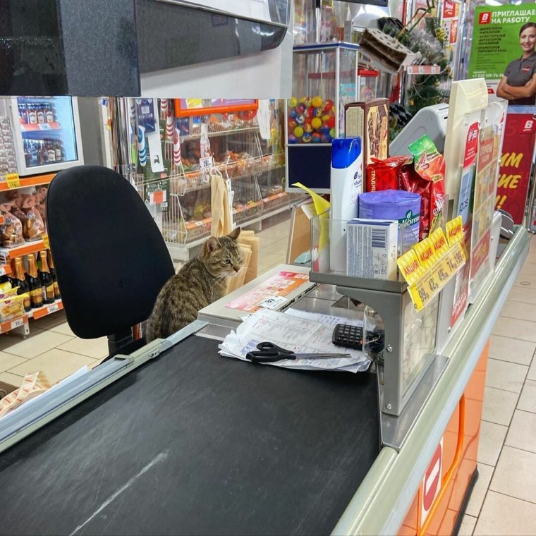 Пятерочка интерьер кассы