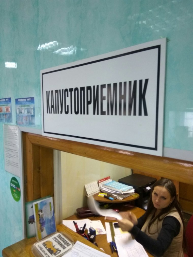 Приколы про кассиров