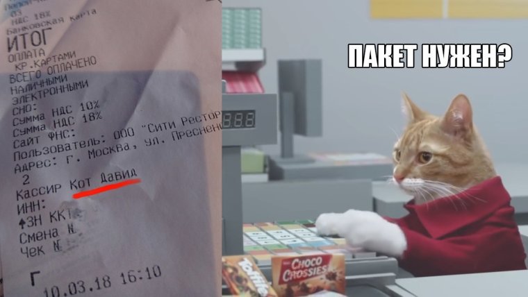 Кот пакет нужен