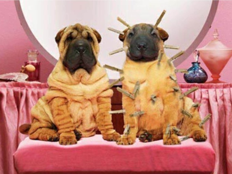 Приколы про косметологов