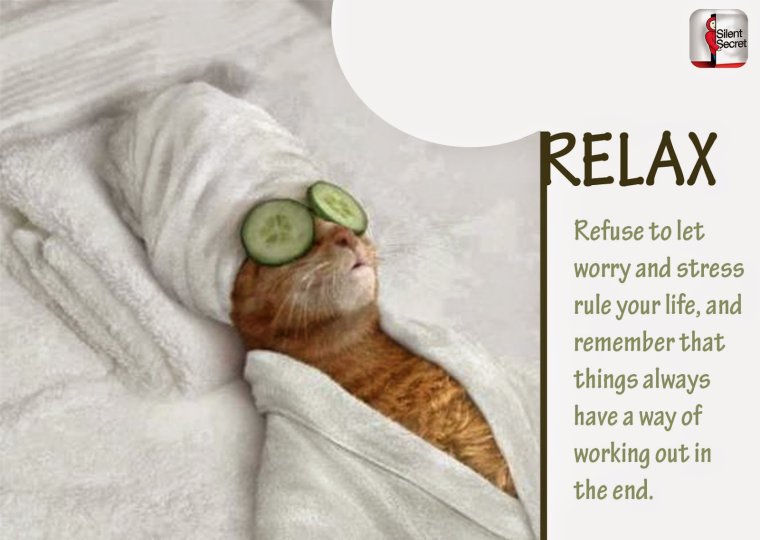 Кот с огурцами на глазах