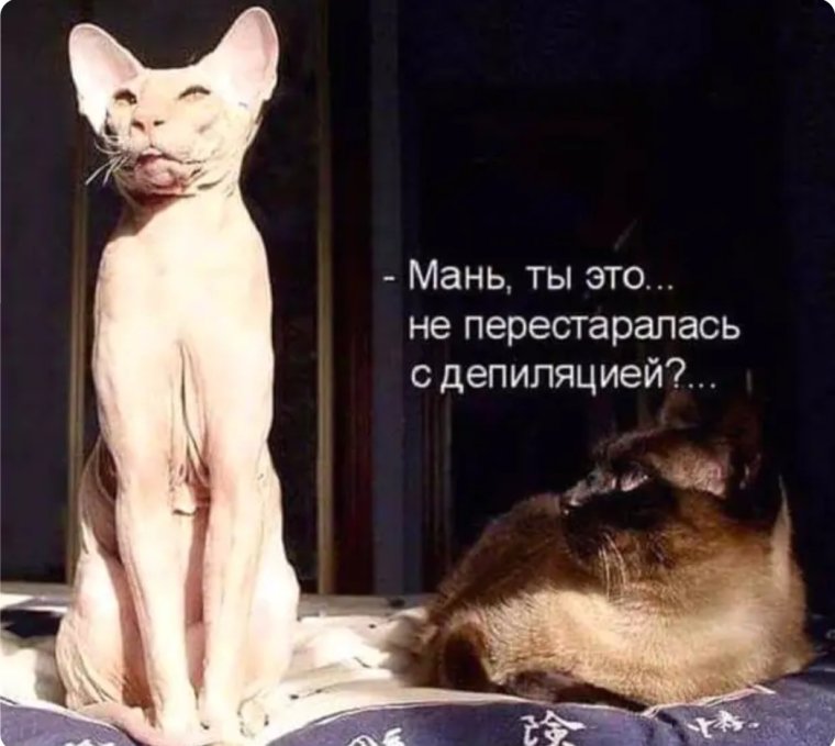 Депиляция приколы