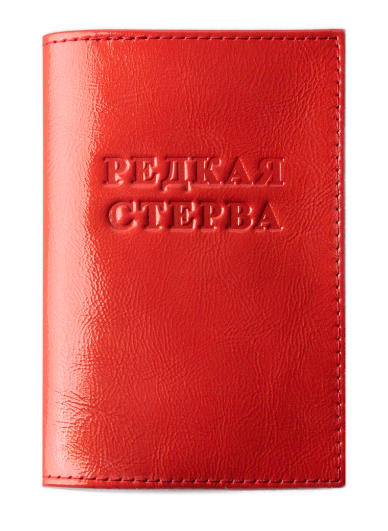 Обложка на паспорт прикольная