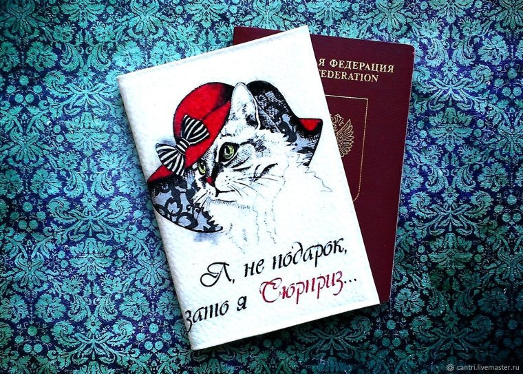 Креативная обложка на паспорт