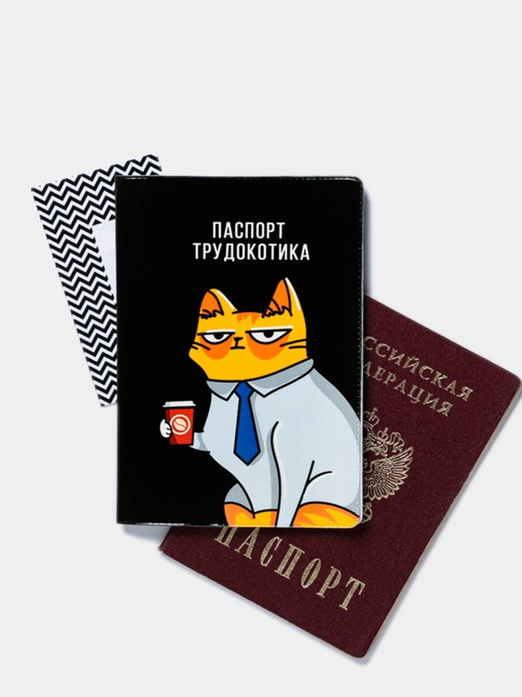 Классные обложки на паспорт