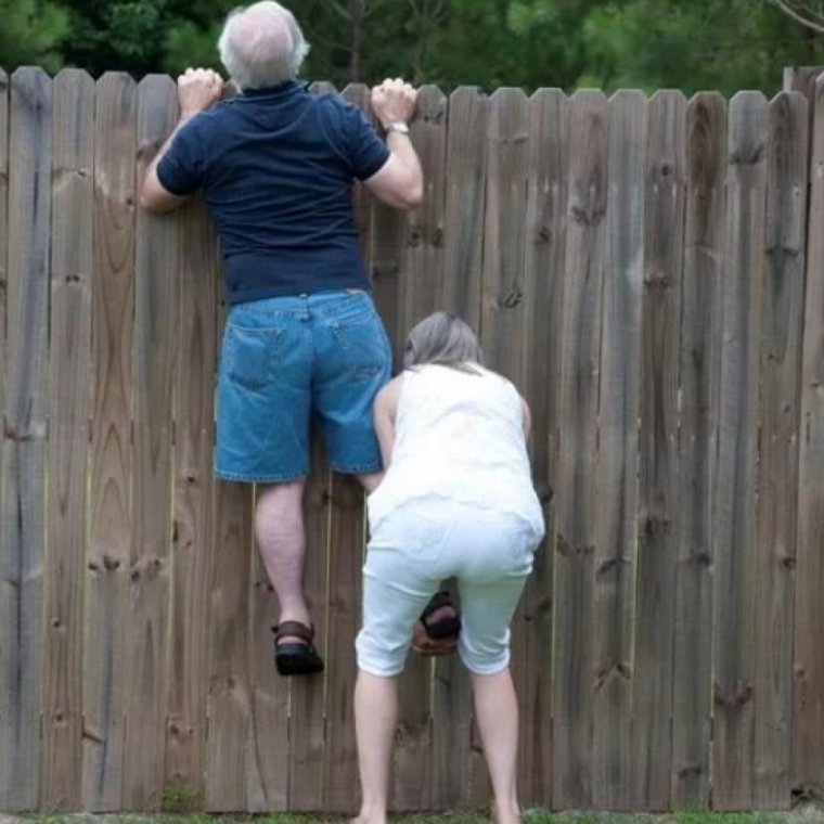 Заглядывает через забор