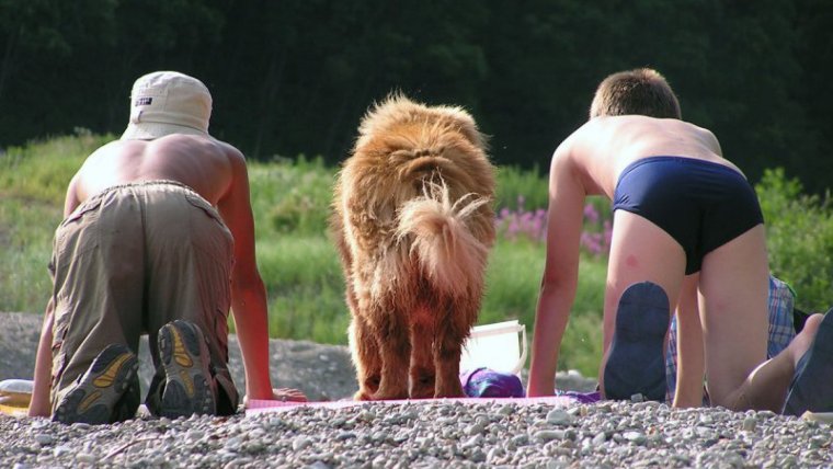 Девушки в забавных ситуациях