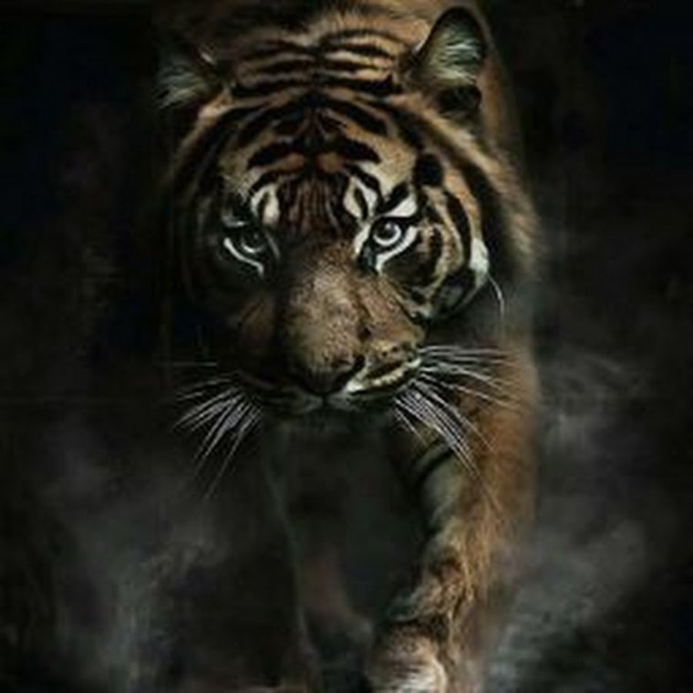 Юмор про американцев