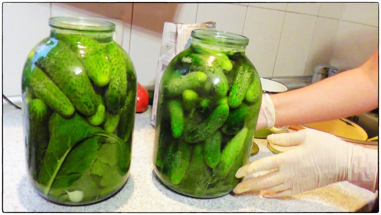 Броженые огурцы