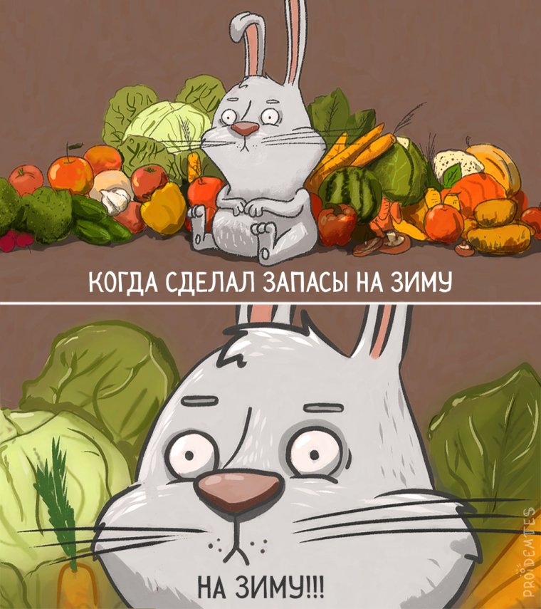 Приколы про заготовки на зиму