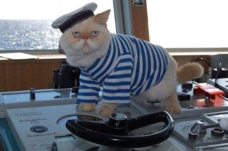 Демотиваторы про моряков