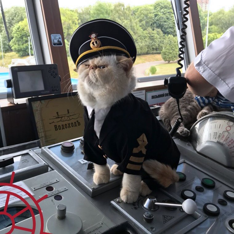 Морской юмор фото