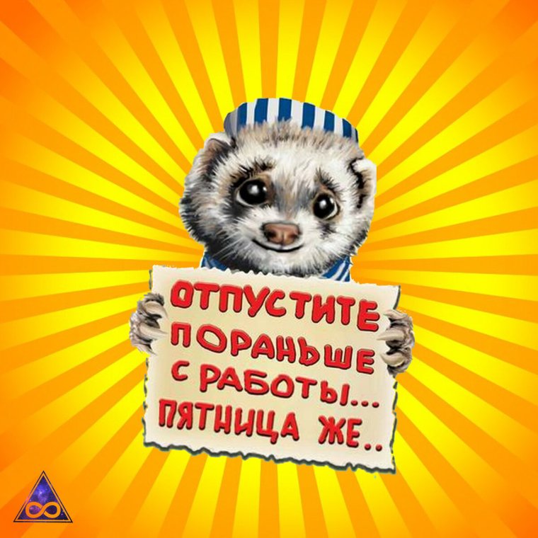 Пятничные демотиваторы