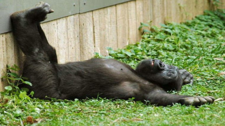 Смешные фото про пятницу