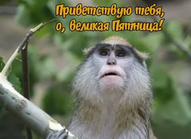 Пятница фото прикольные