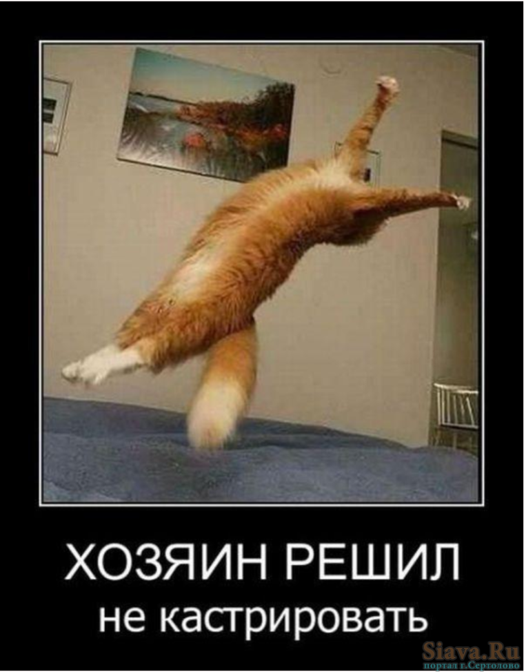 Смешные приколы современные