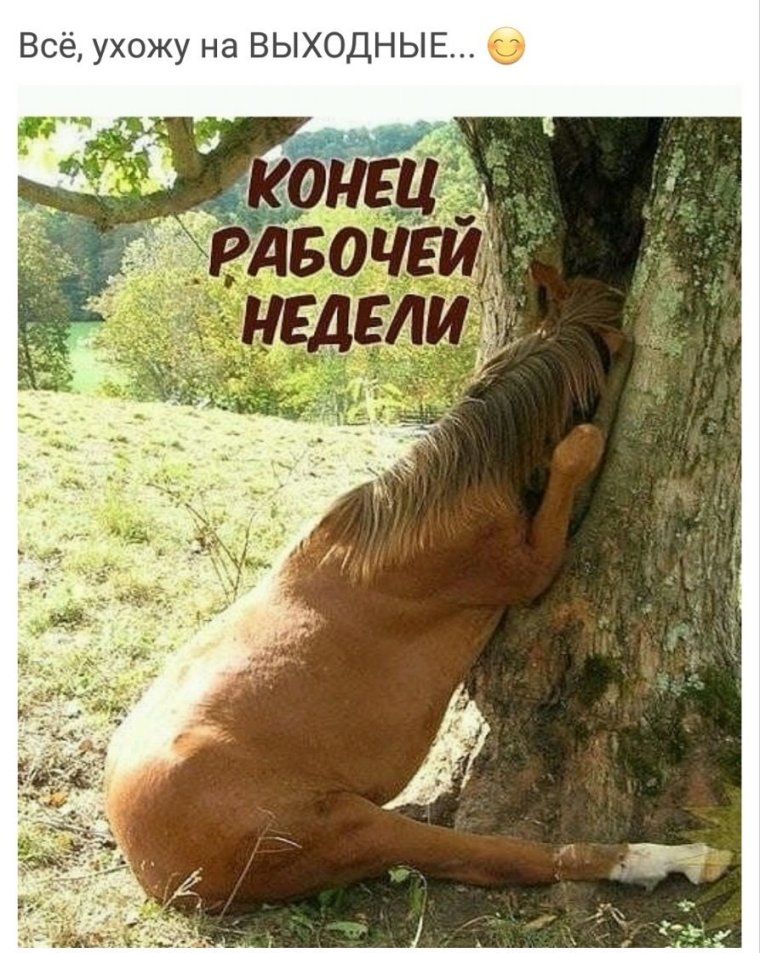 Пьяная пятница