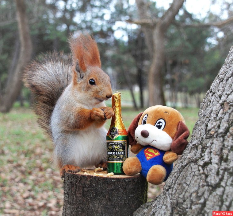 Мемы про семью