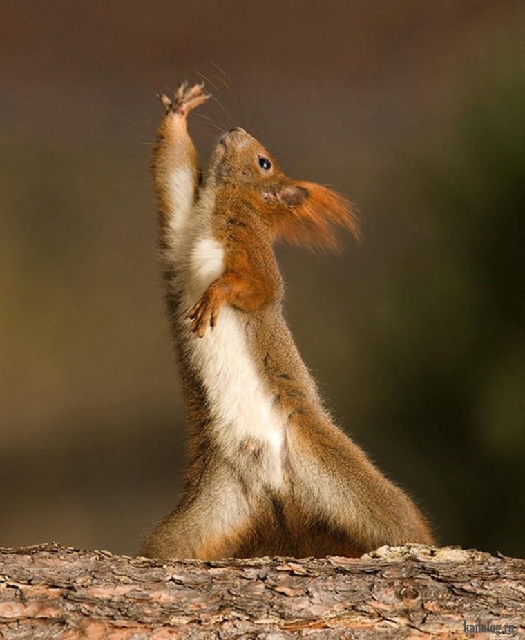 После пятницы