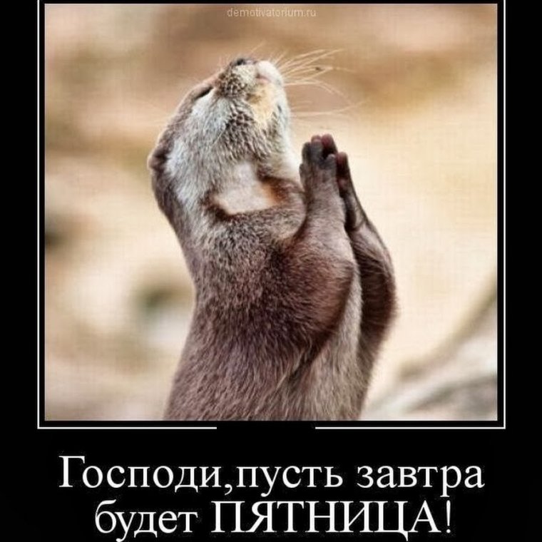 Прикол наконец пятница