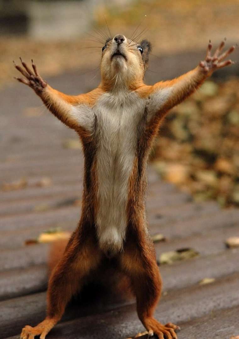 Скоро пятница прикольные