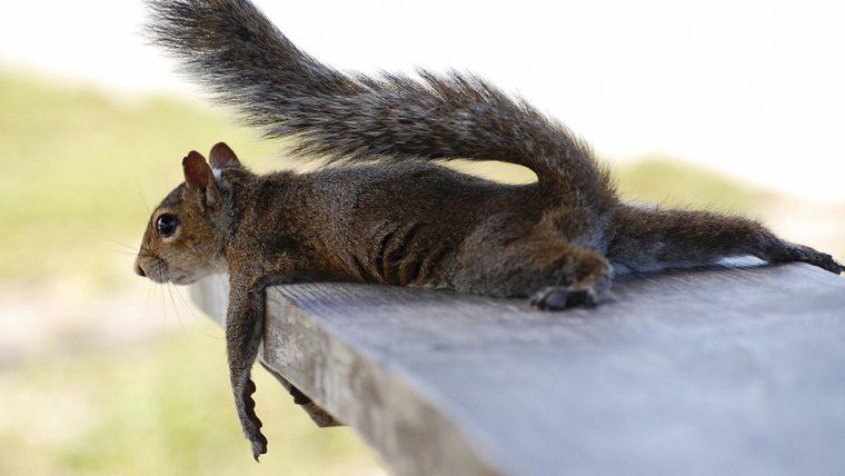 Скоро выходные