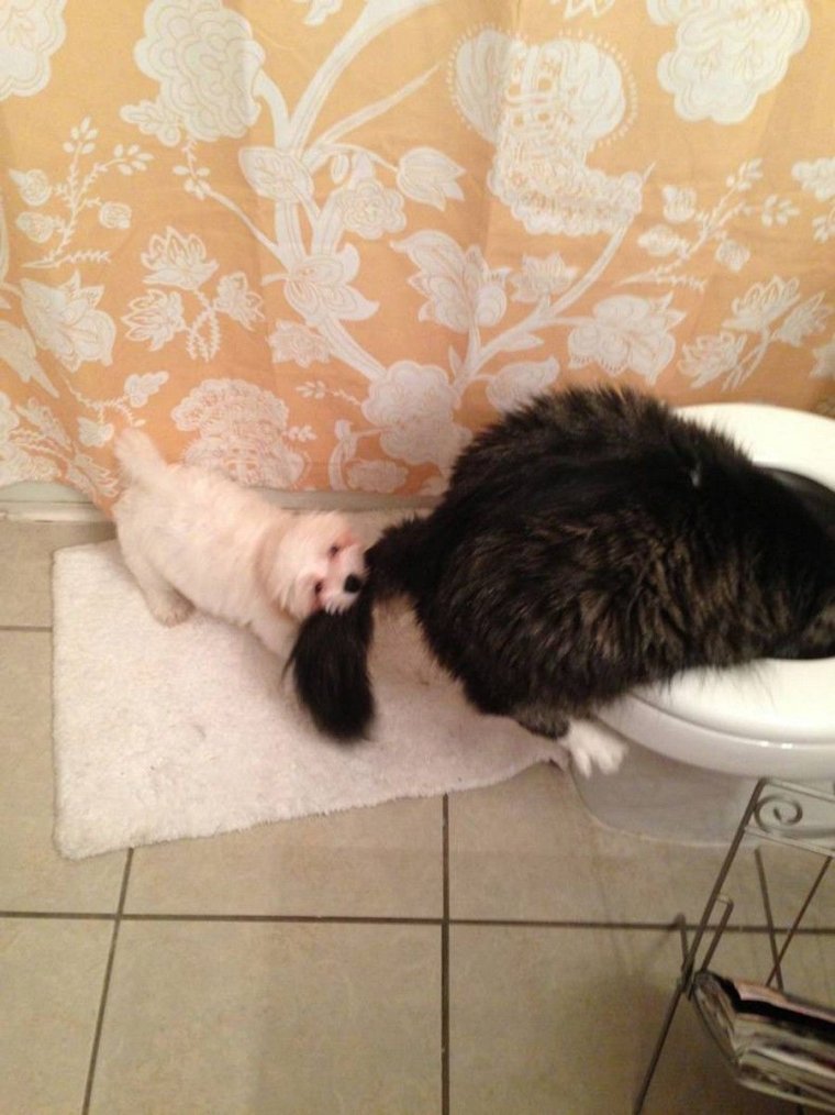 Пятница ржака картинки