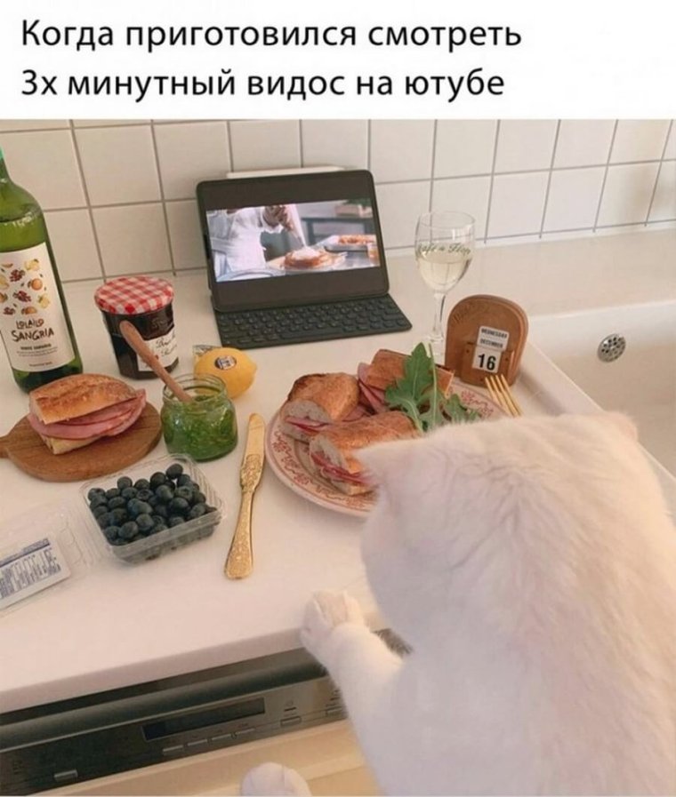 Боже Убей идиотов